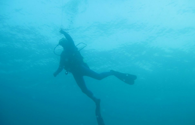  999- Camicrema de Palmee en la piscina